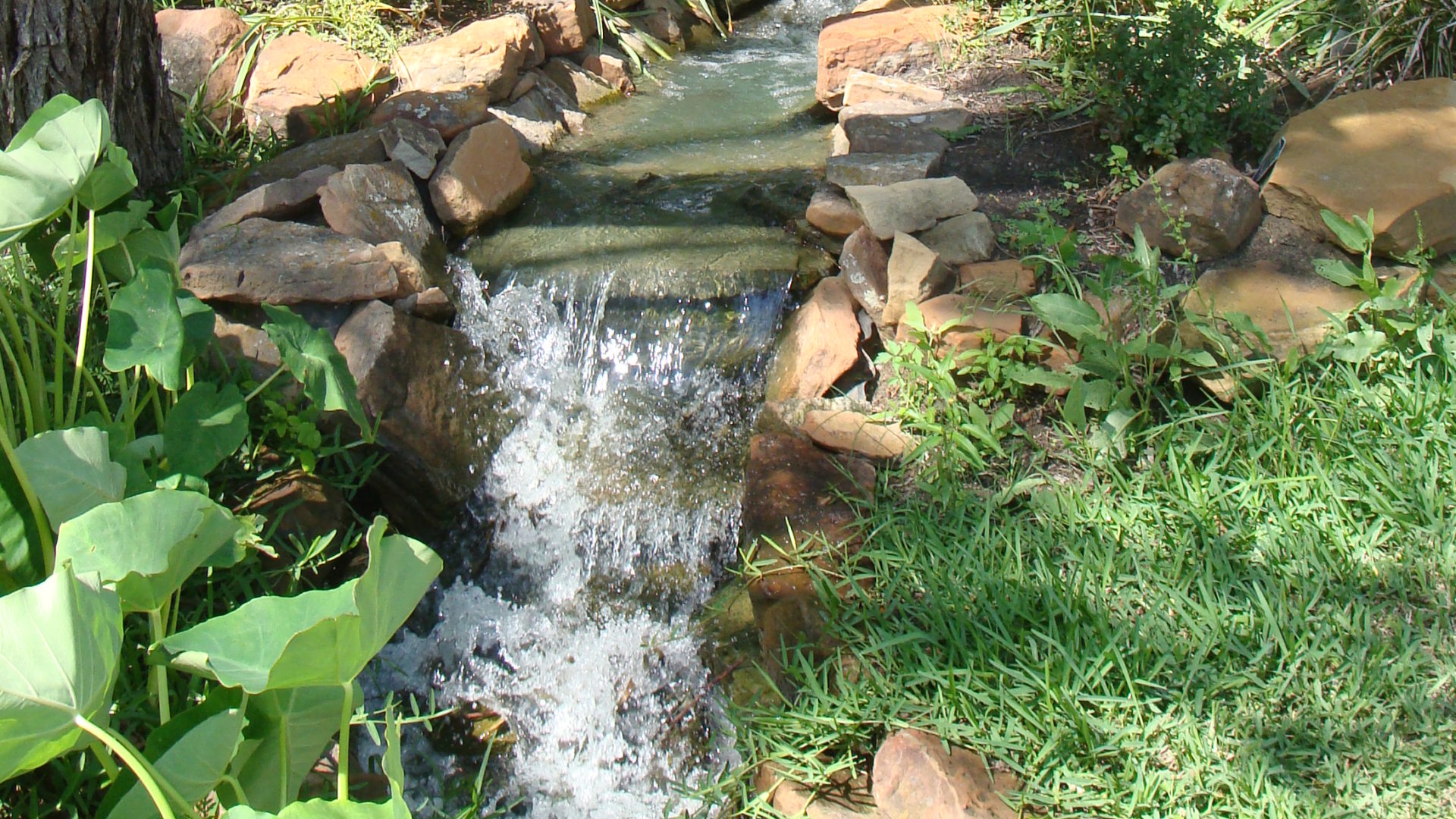 Winding Brooks